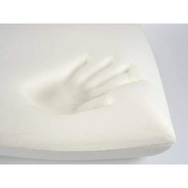 oreiller mémoire de forme